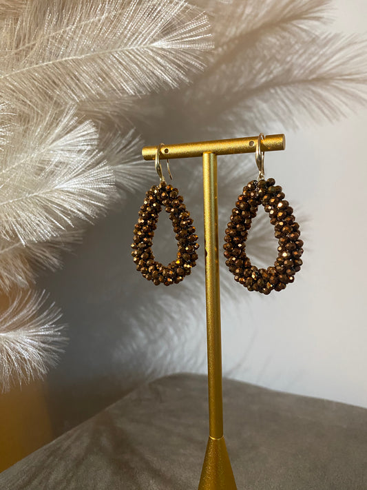 Earrings Bronze